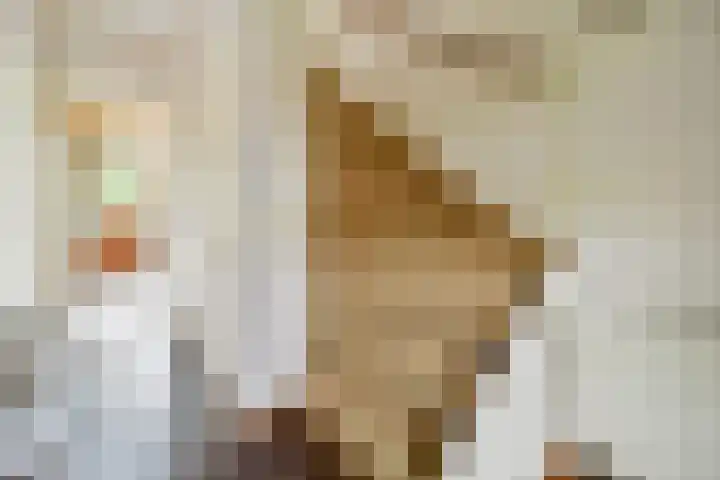 Julianalaan 36 De Rijp thumbnail 5