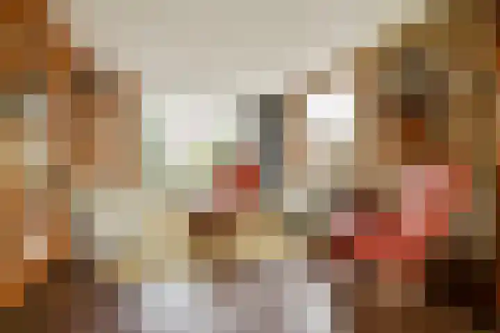 Julianalaan 36 De Rijp thumbnail 6