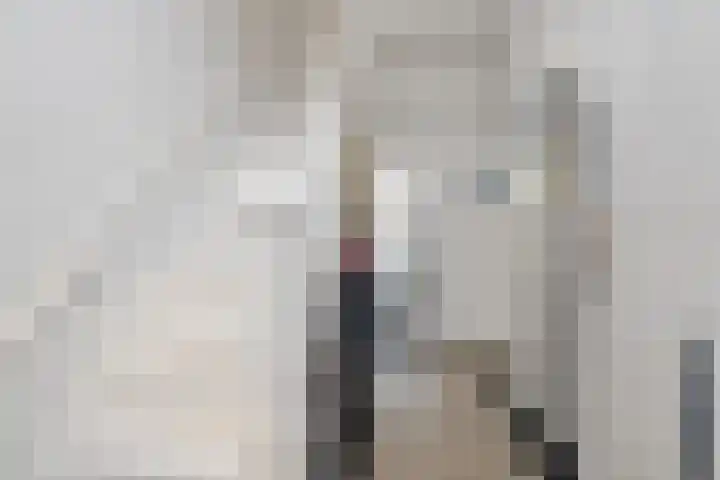 Julianalaan 36 Helmond thumbnail 10
