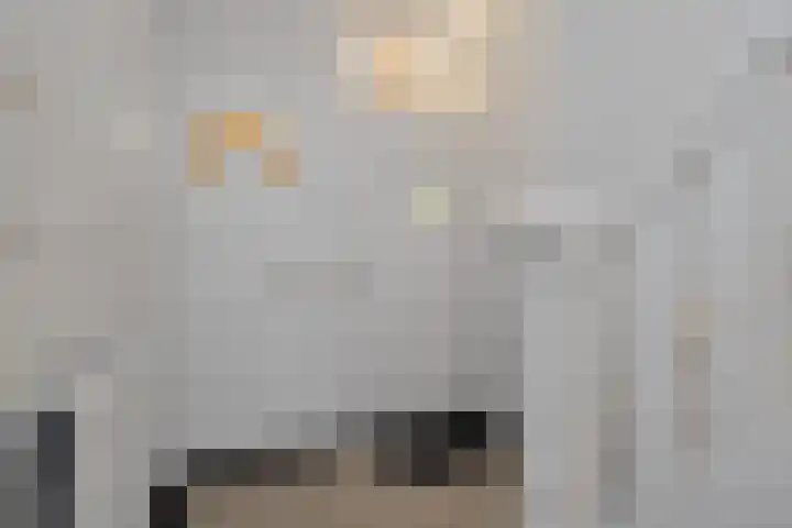 Julianalaan 36 Helmond thumbnail 11