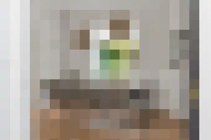 Julianalaan 36 Helmond thumbnail 13