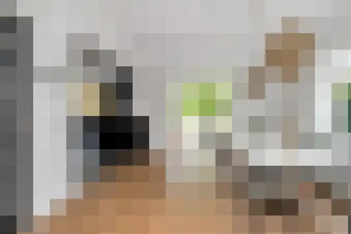 Julianalaan 36 Helmond thumbnail 14