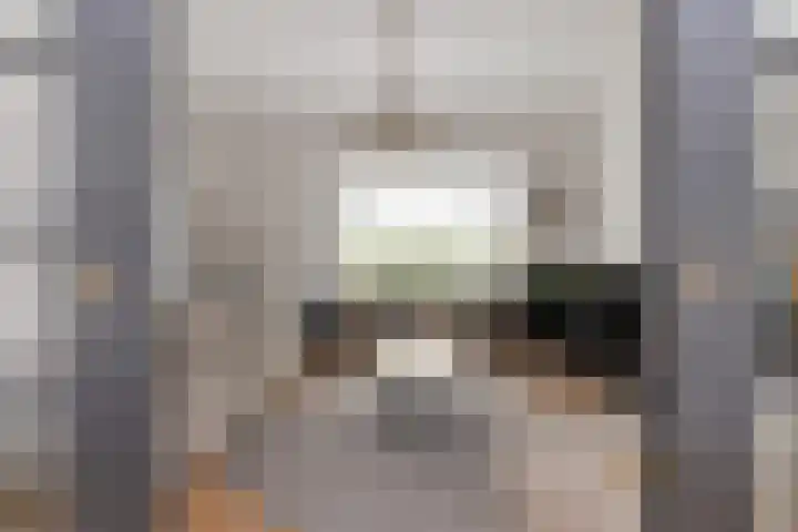 Julianalaan 36 Helmond thumbnail 17