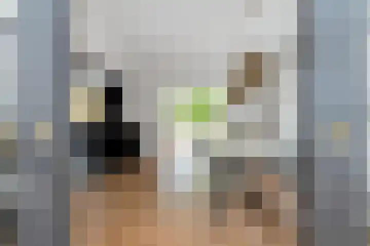 Julianalaan 36 Helmond thumbnail 20