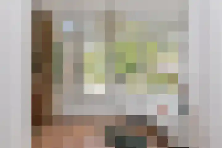 Julianalaan 36 Helmond thumbnail 21
