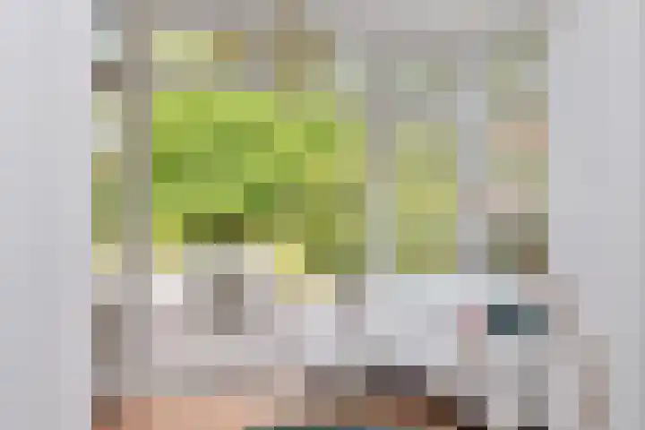 Julianalaan 36 Helmond thumbnail 22