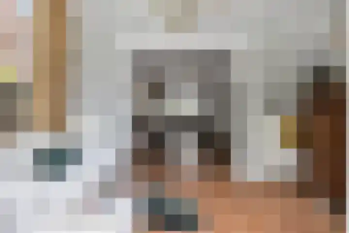 Julianalaan 36 Helmond thumbnail 23