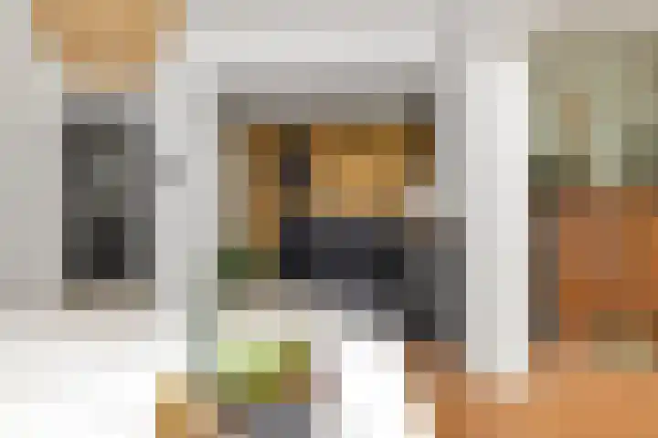 Julianalaan 36 Helmond thumbnail 24