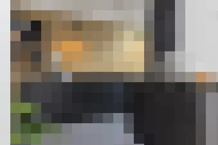 Julianalaan 36 Helmond thumbnail 25