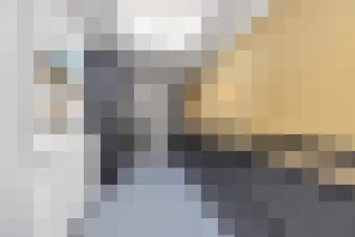 Julianalaan 36 Helmond thumbnail 26