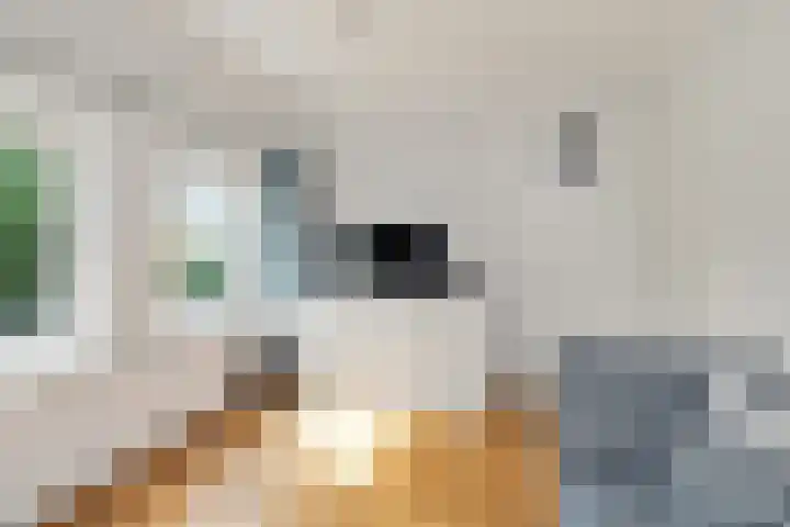 Julianalaan 36 Helmond thumbnail 35