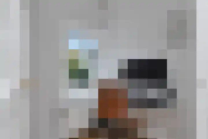 Julianalaan 36 Helmond thumbnail 37