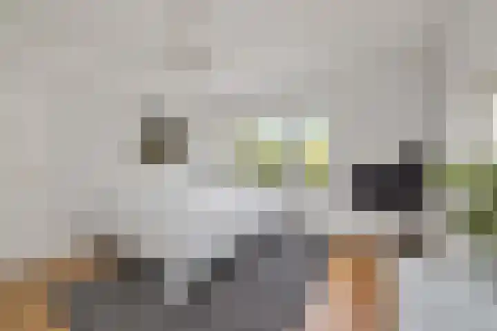 Julianalaan 36 Helmond thumbnail 40
