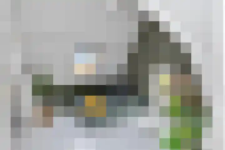 Julianalaan 36 Helmond thumbnail 43