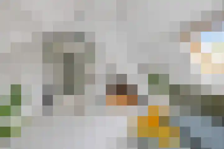 Julianalaan 36 Helmond thumbnail 44