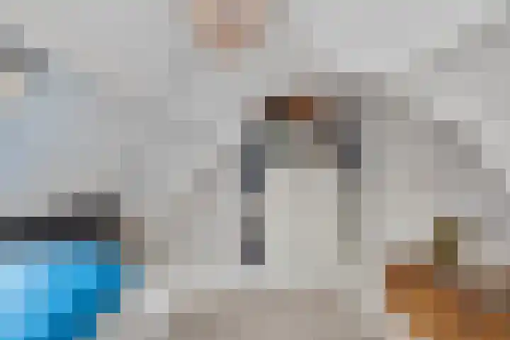 Julianalaan 36 Helmond thumbnail 48