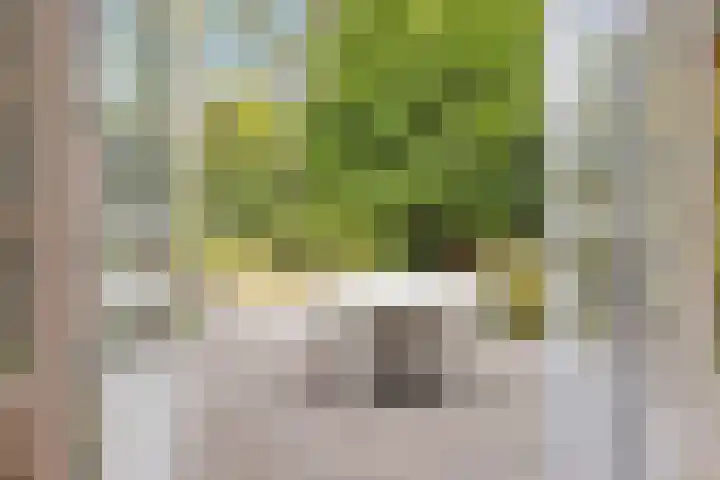 Julianalaan 36 Helmond thumbnail 49