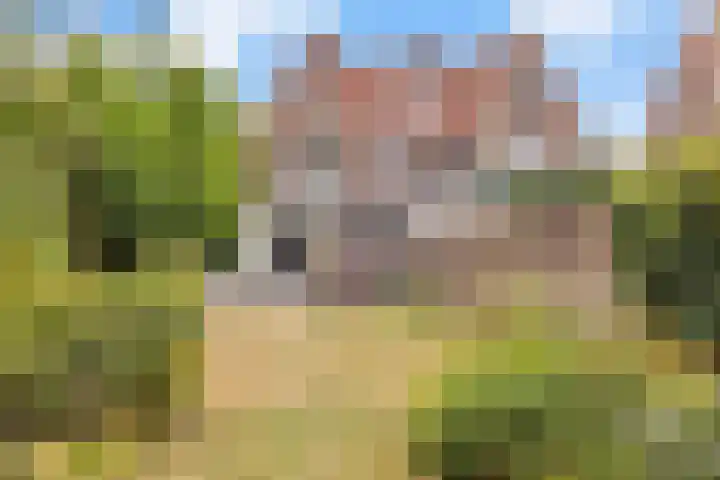 Julianalaan 36 Helmond thumbnail 5