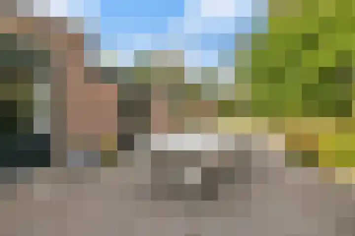 Julianalaan 36 Helmond thumbnail 50