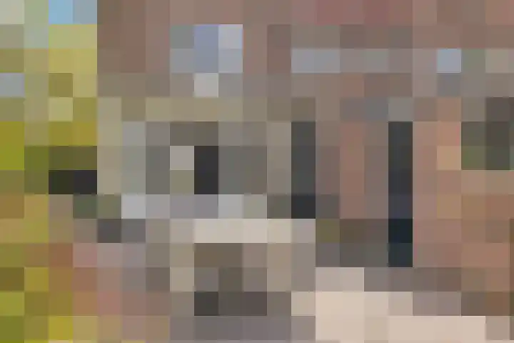 Julianalaan 36 Helmond thumbnail 52