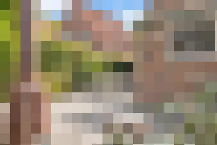 Julianalaan 36 Helmond thumbnail 54