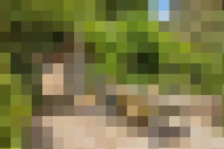 Julianalaan 36 Helmond thumbnail 62