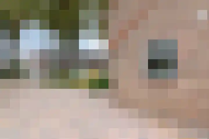 Julianalaan 36 Zevenaar thumbnail 10