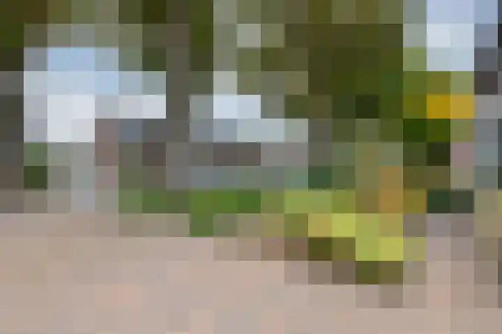 Julianalaan 36 Zevenaar thumbnail 11