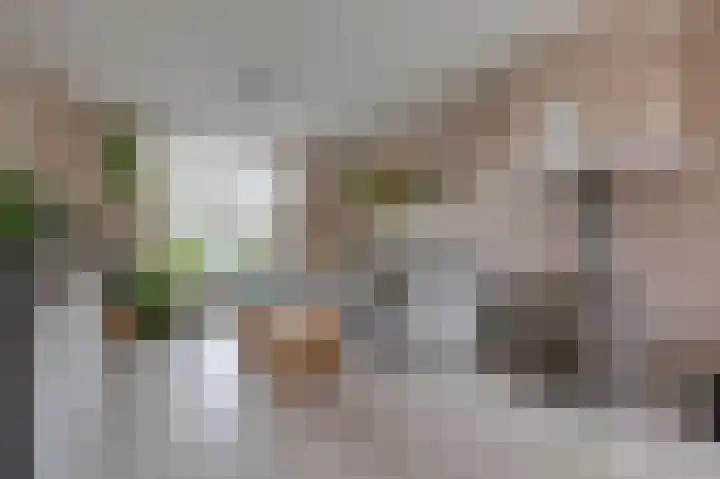 Julianalaan 36 Zevenaar thumbnail 15