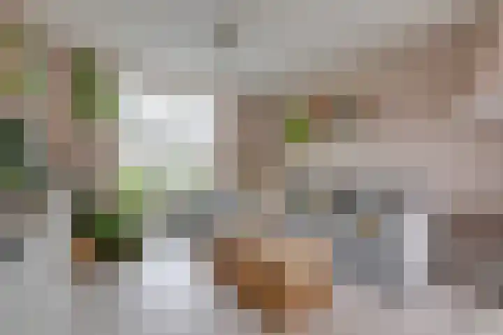 Julianalaan 36 Zevenaar thumbnail 16