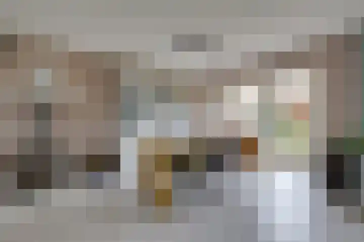 Julianalaan 36 Zevenaar thumbnail 20