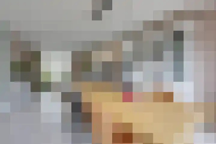 Julianalaan 36 Zevenaar thumbnail 22