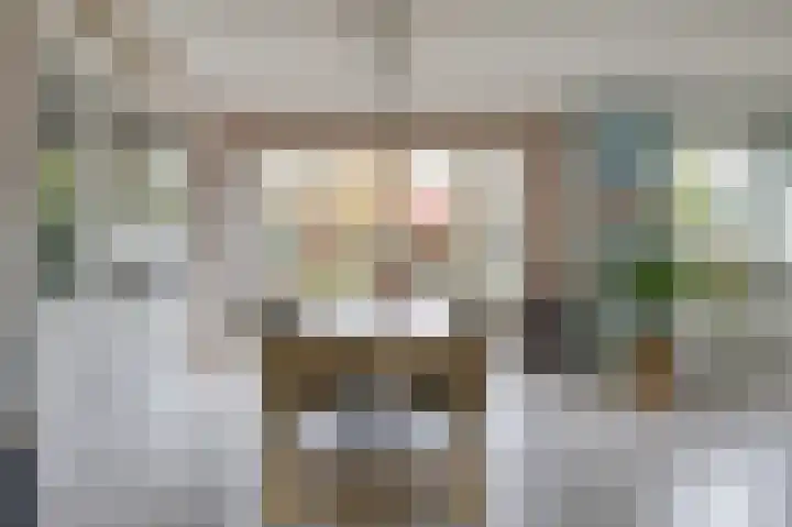 Julianalaan 36 Zevenaar thumbnail 23