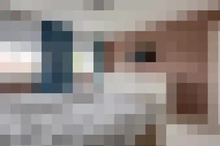 Julianalaan 36 Zevenaar thumbnail 32