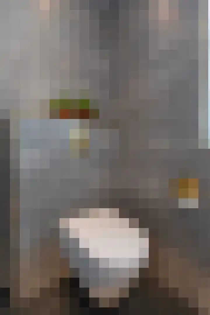 Julianalaan 36 Zevenaar thumbnail 36