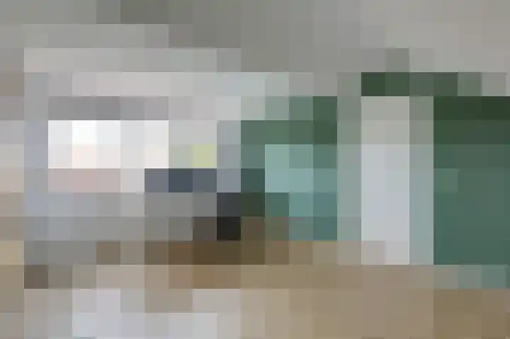 Julianalaan 36 Zevenaar thumbnail 38