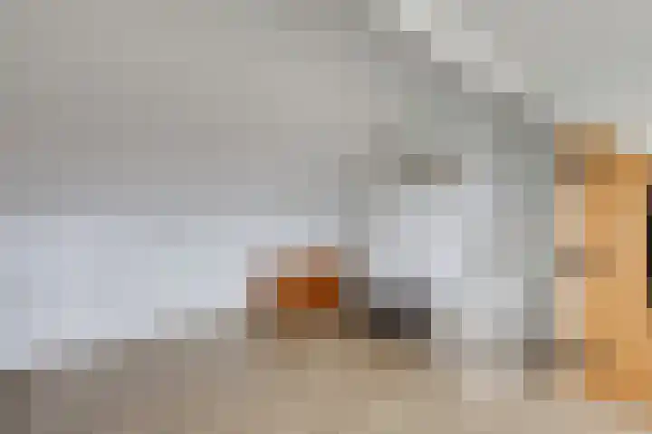 Julianalaan 36 Zevenaar thumbnail 39