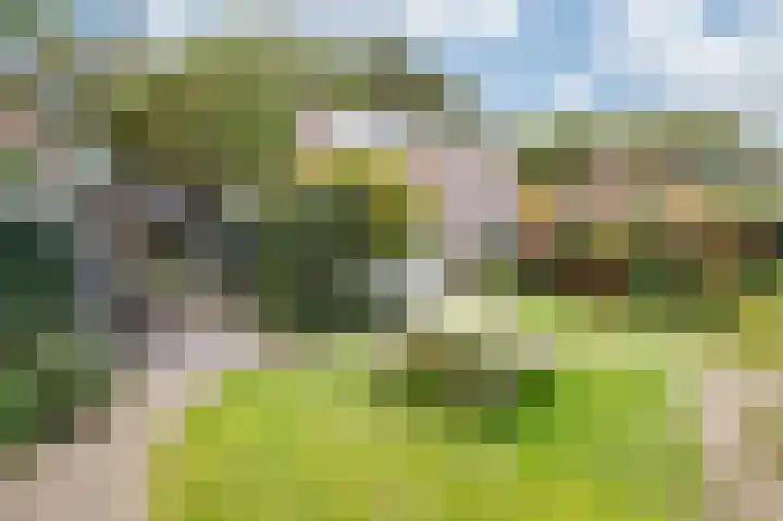 Julianalaan 36 Zevenaar thumbnail 40