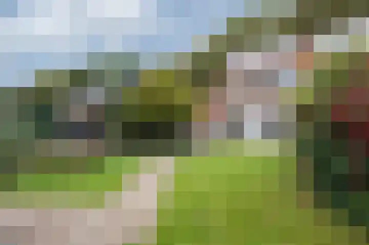 Julianalaan 36 Zevenaar thumbnail 41
