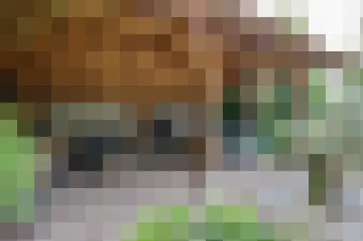 Julianalaan 36 Zevenaar thumbnail 46