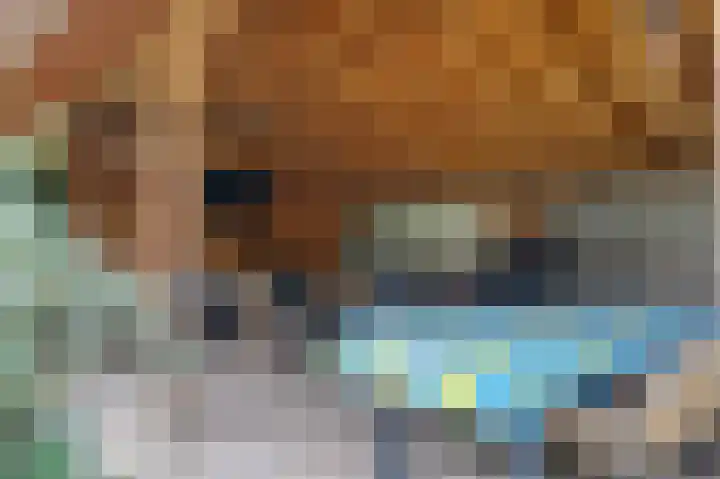 Julianalaan 36 Zevenaar thumbnail 47