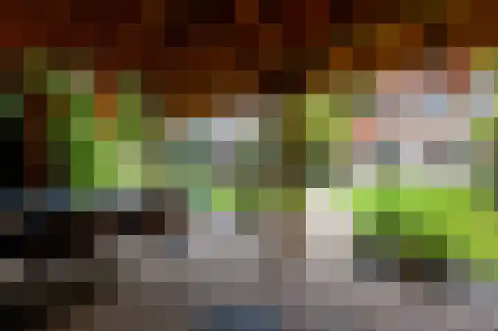 Julianalaan 36 Zevenaar thumbnail 48