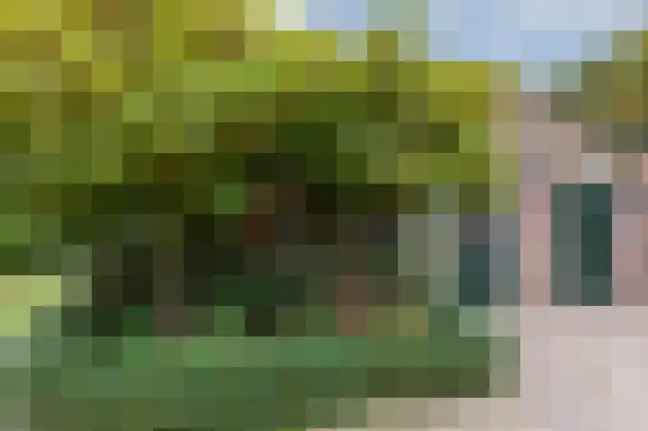 Julianalaan 36 Zevenaar thumbnail 51