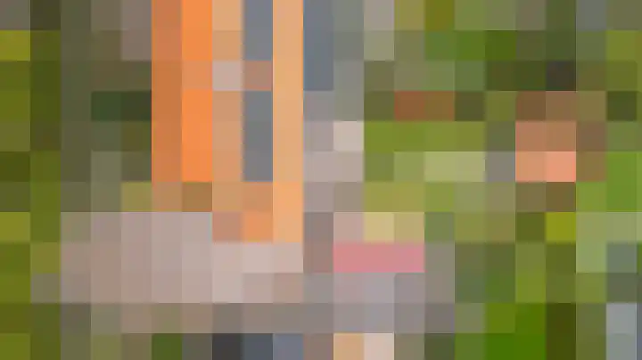 Julianalaan 36 Zevenaar thumbnail 55