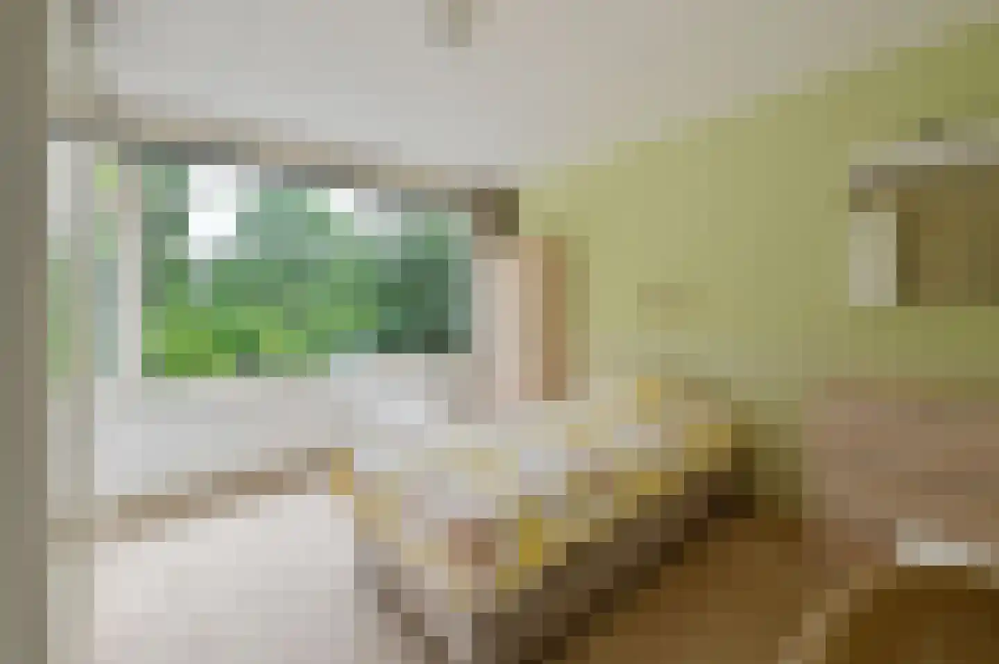 Julianalaan 37 Bennekom thumbnail 15
