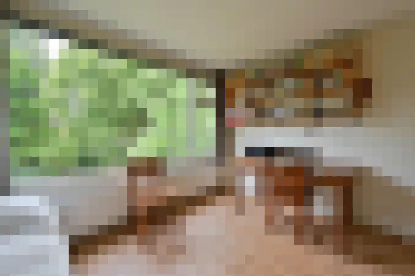 Julianalaan 37 Bennekom thumbnail 18