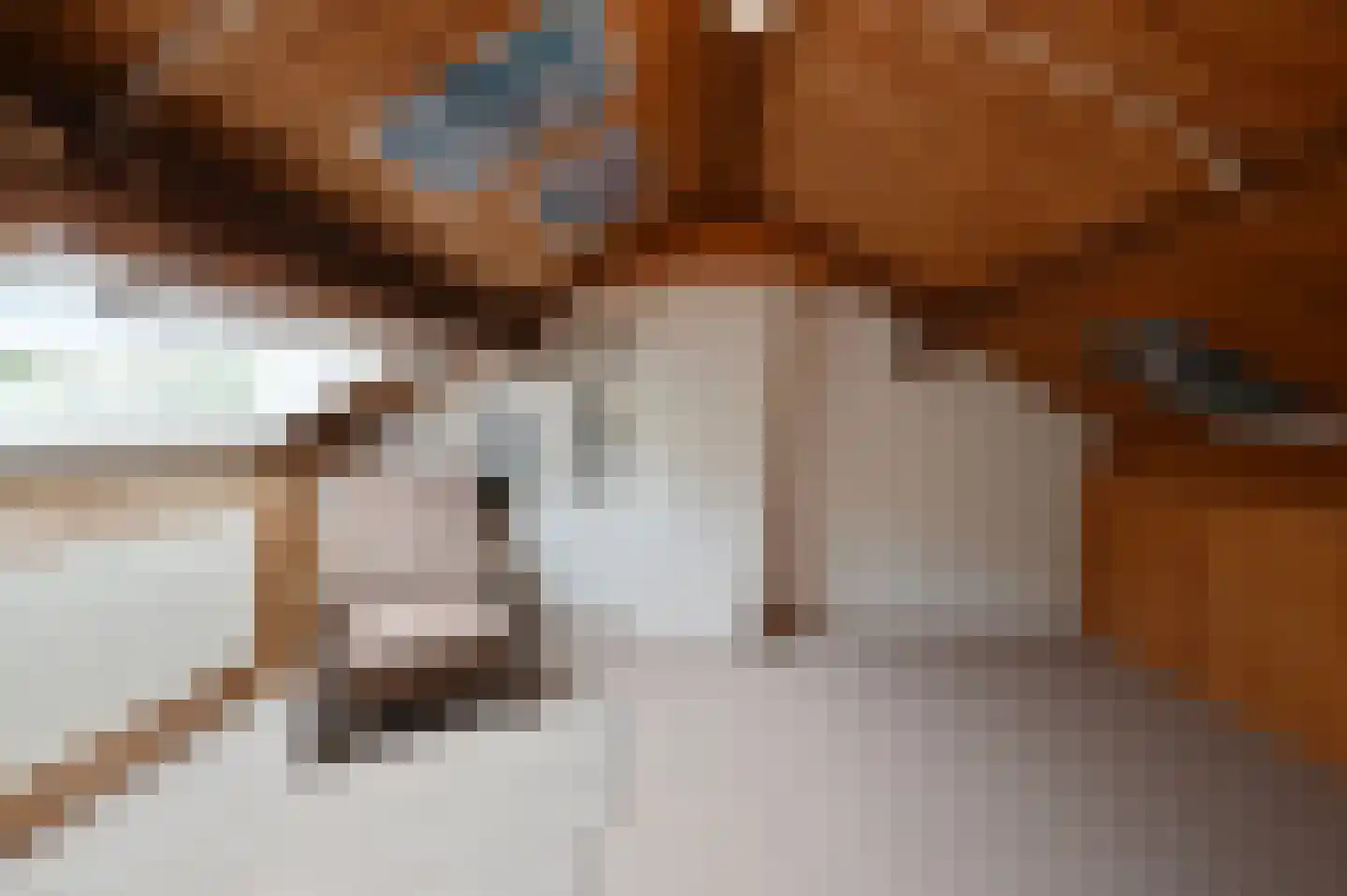 Julianalaan 37 Bennekom thumbnail 22