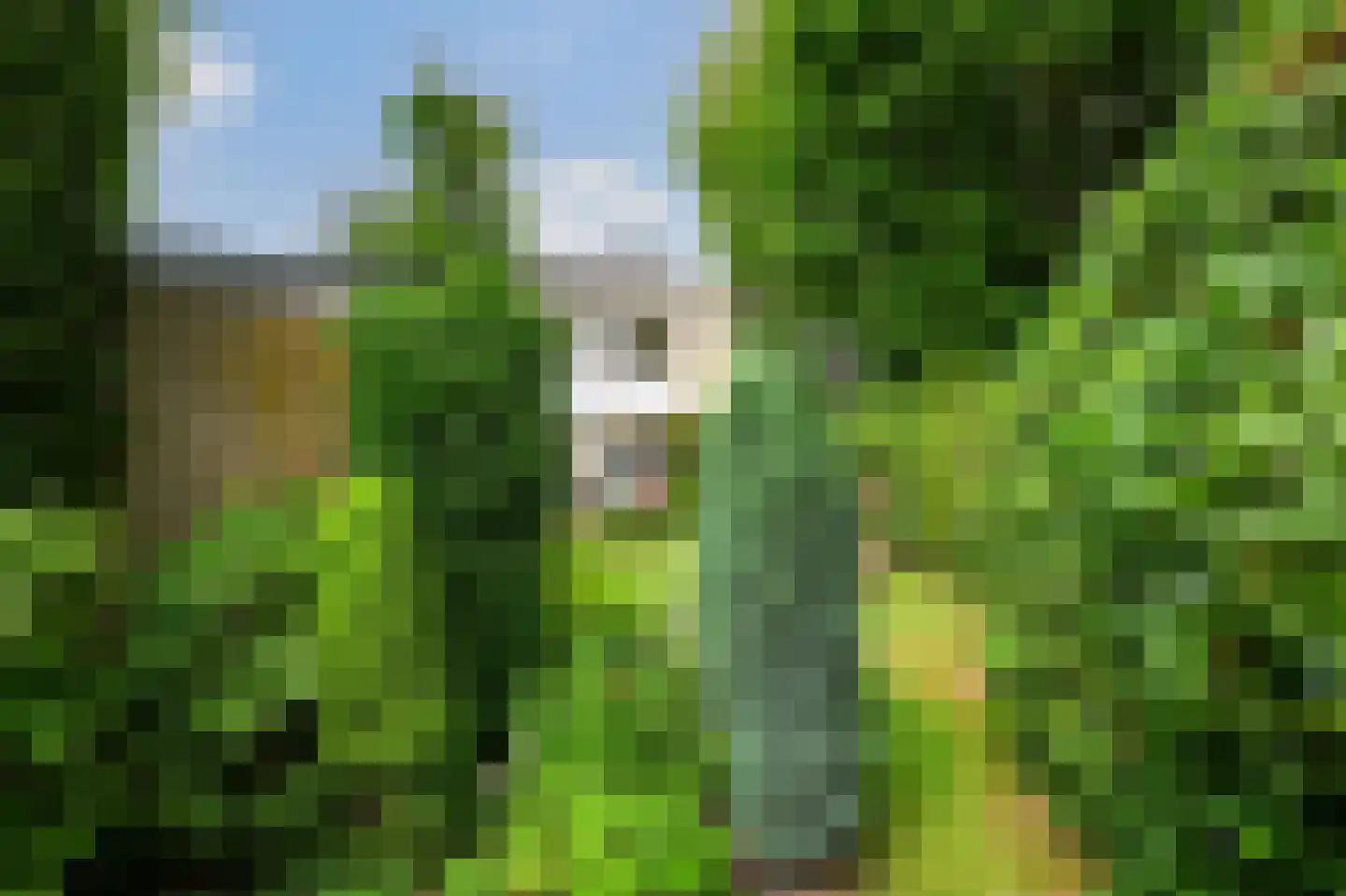 Julianalaan 37 Bennekom thumbnail 7