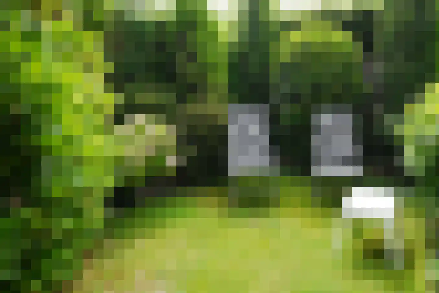 Julianalaan 37 Bennekom thumbnail 8