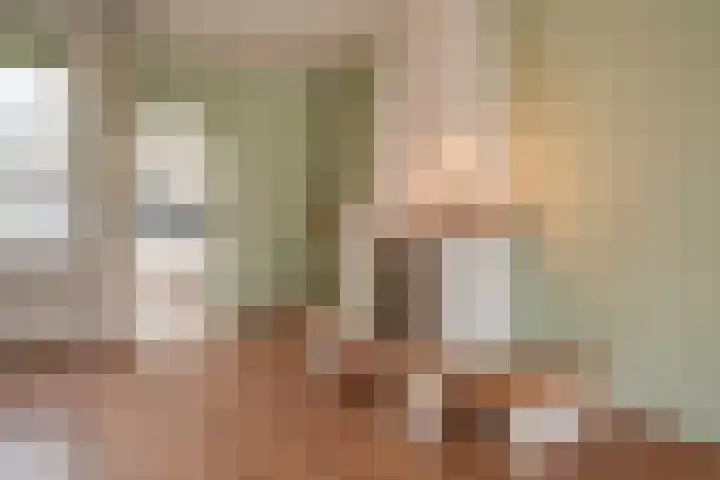 Julianalaan 37 Bergschenhoek thumbnail 11